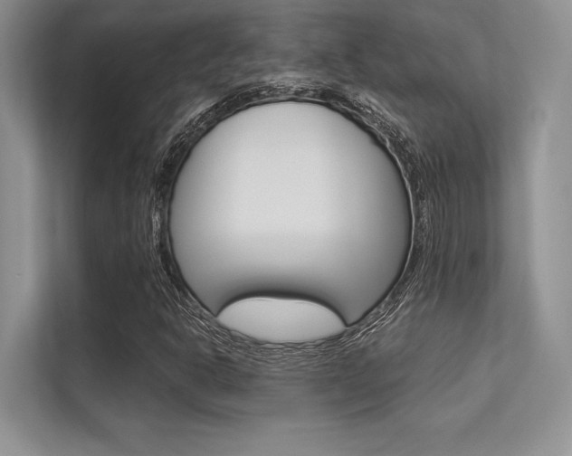 X0000113321302200909140938