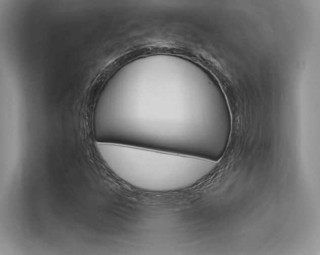 X0000113321303200909140938