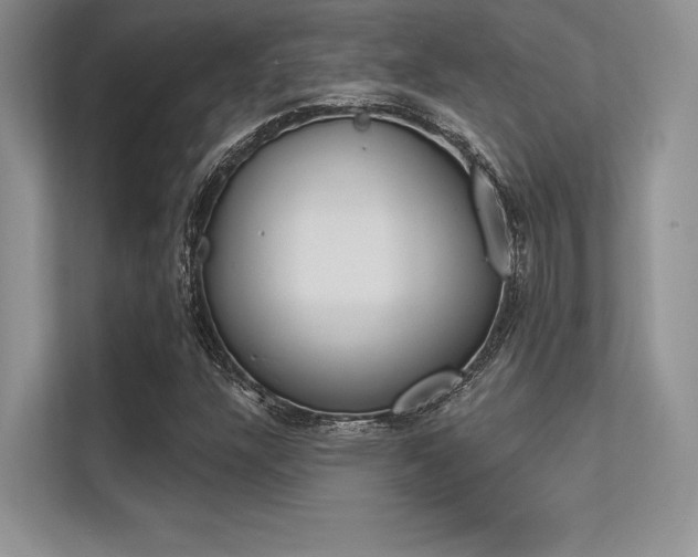 X0000113321304200909140938