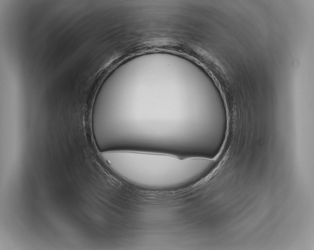 X0000113321305200909140938