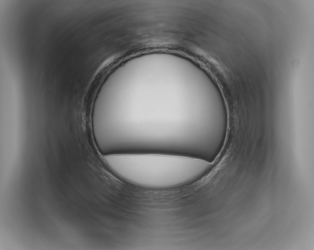 X0000113321306200909140938