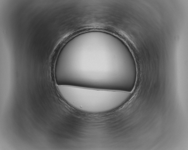 X0000113321307200909140938