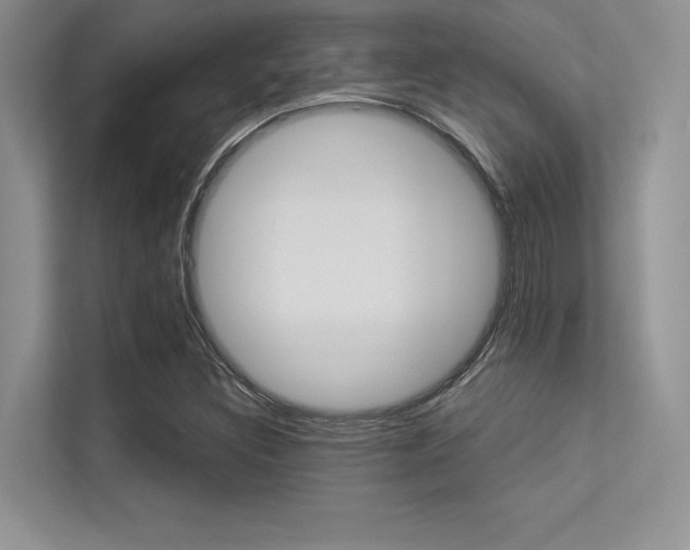 X0000113321308200909140938