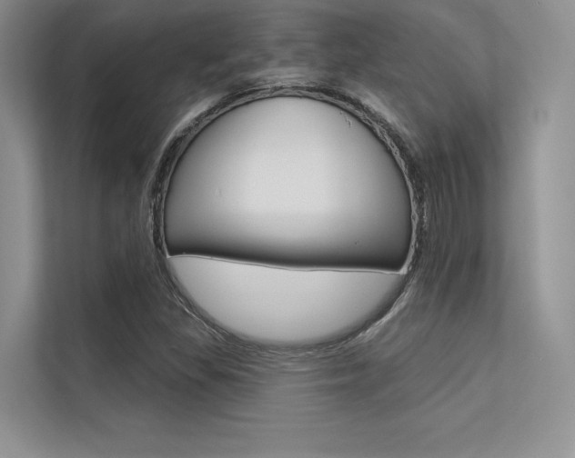 X0000113321309200909140938