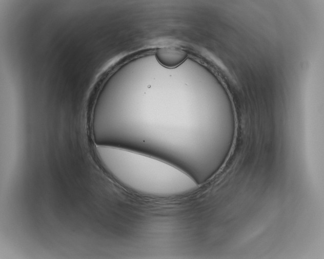 X0000113321315200909140939