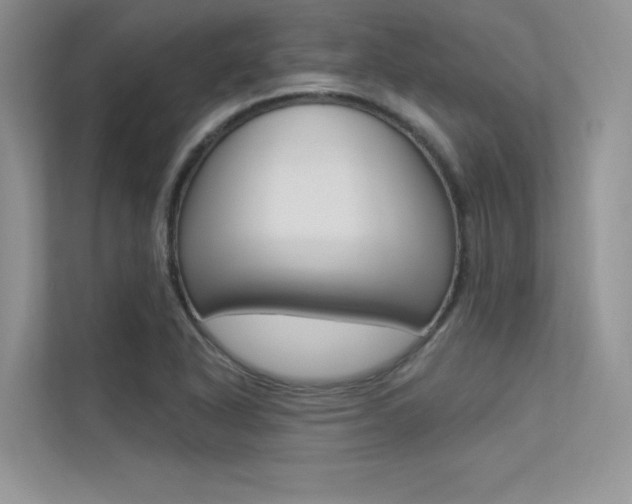 X0000113321318200909140939