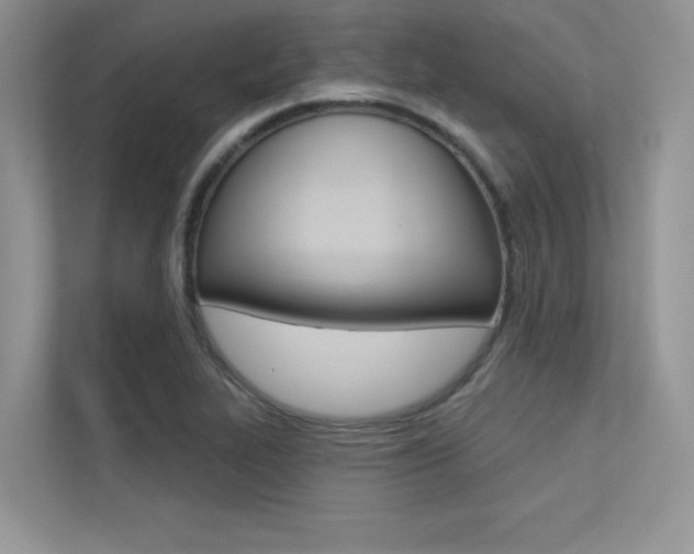 X0000113321319200909140939