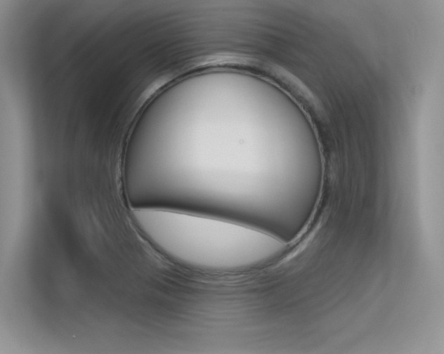 X0000113321321200909140939