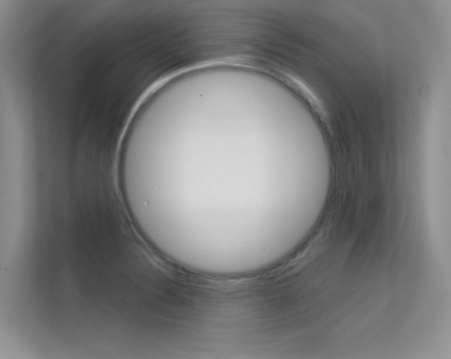 X0000113321324200909140939