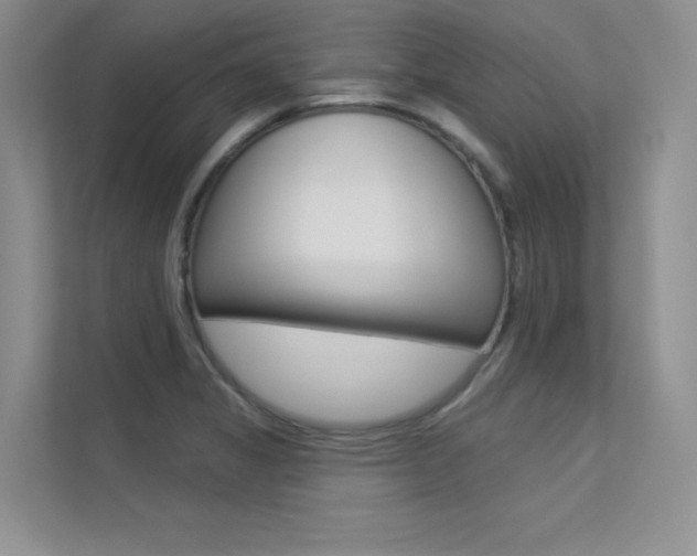 X0000113321325200909140939