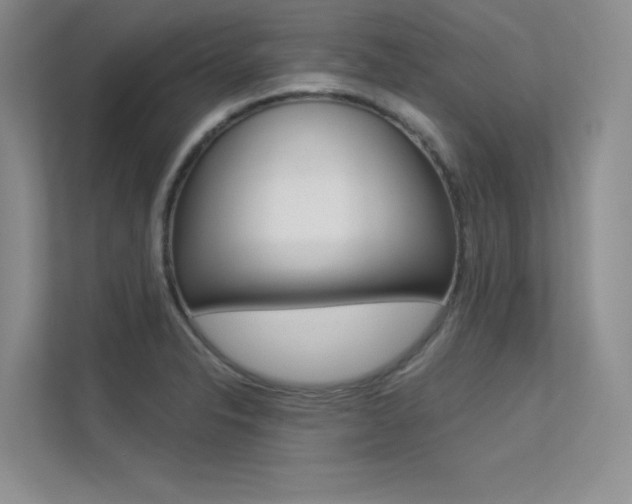 X0000113321326200909140939