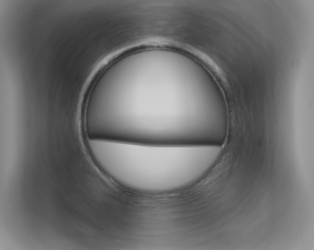 X0000113321327200909140939