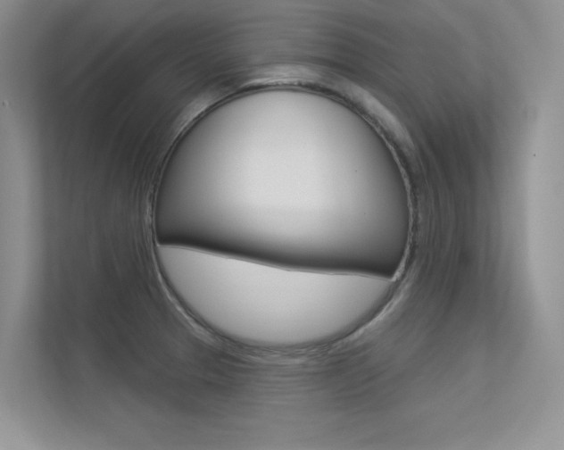 X0000113321329200909140939