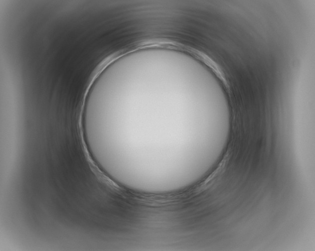 X0000113321330200909140939