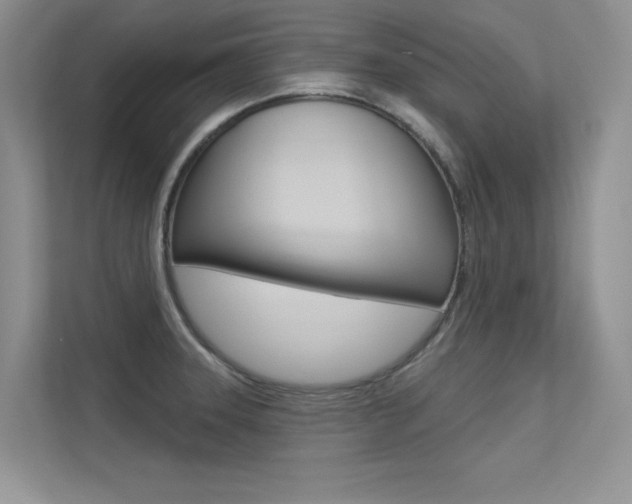 X0000113321331200909140939