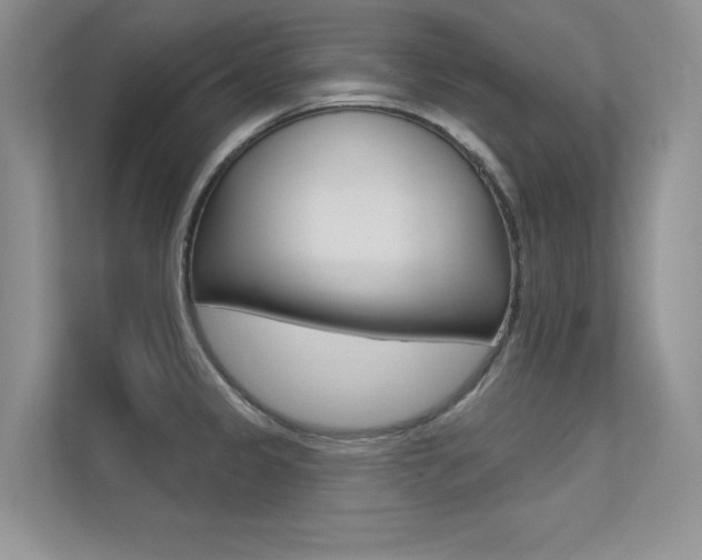 X0000113321333200909140939