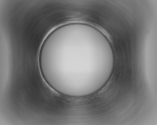 X0000113321334200909140939