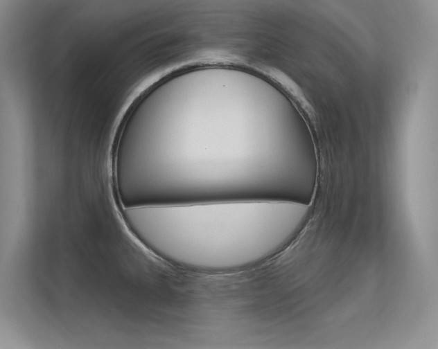 X0000113321335200909140939