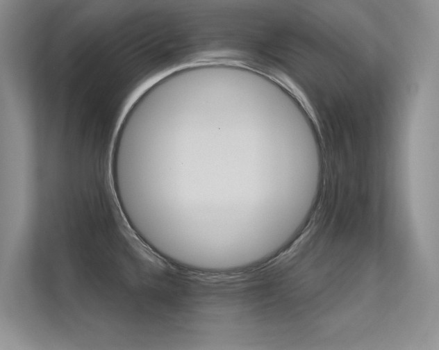 X0000113321336200909140939