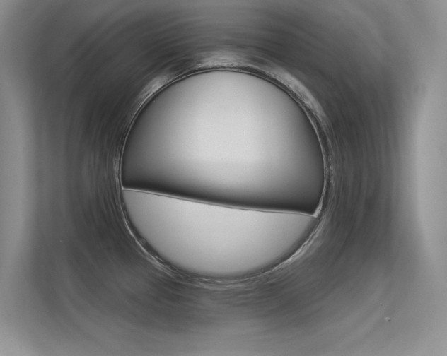 X0000113321337200909140939
