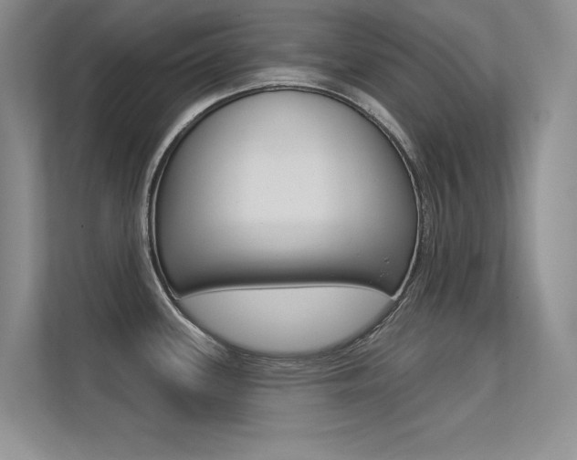 X0000113321339200909140939