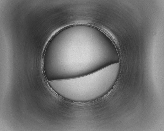 X0000113321340200909140939