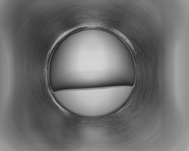 X0000113321343200909140939