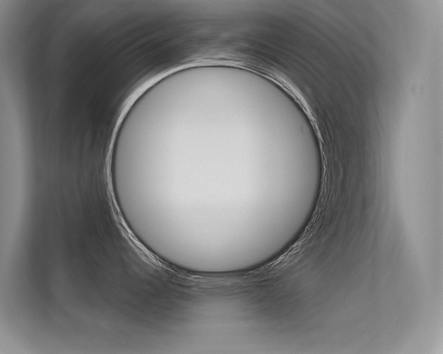 X0000113321344200909140939