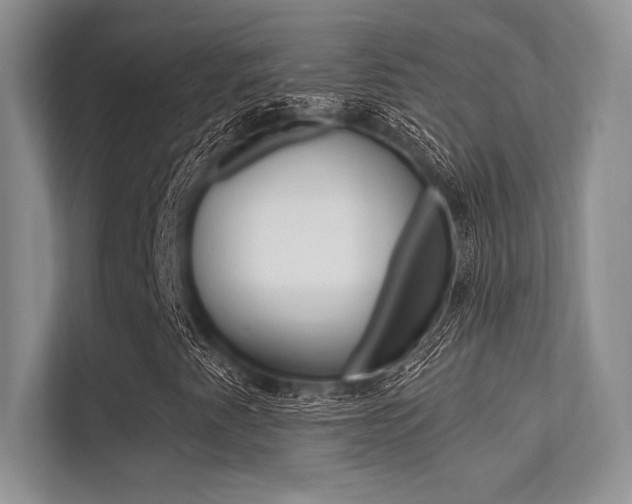 X0000113321345200909140938