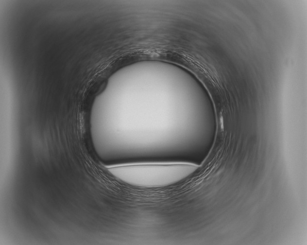 X0000113321347200909140938