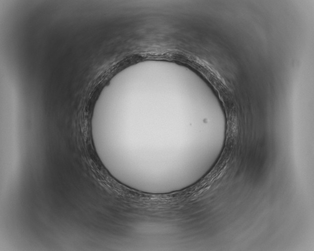 X0000113321350200909140938