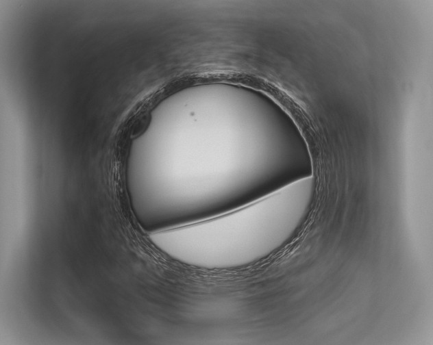 X0000113321351200909140938