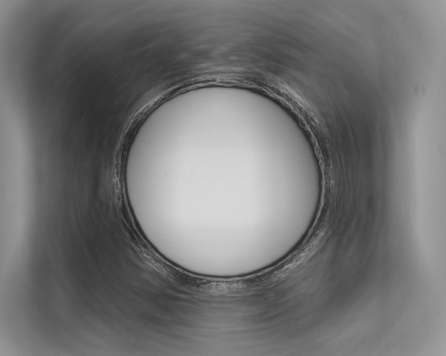 X0000113321354200909140938