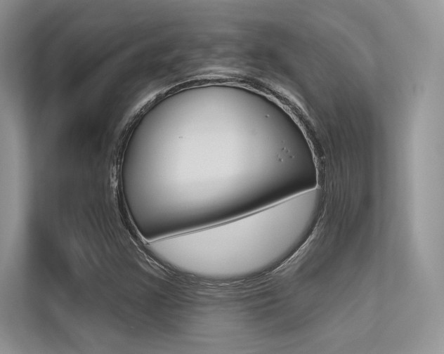 X0000113321355200909140938