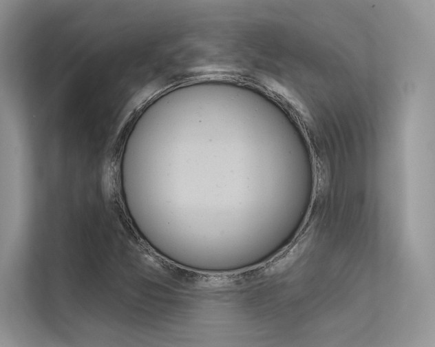 X0000113321357200909140938