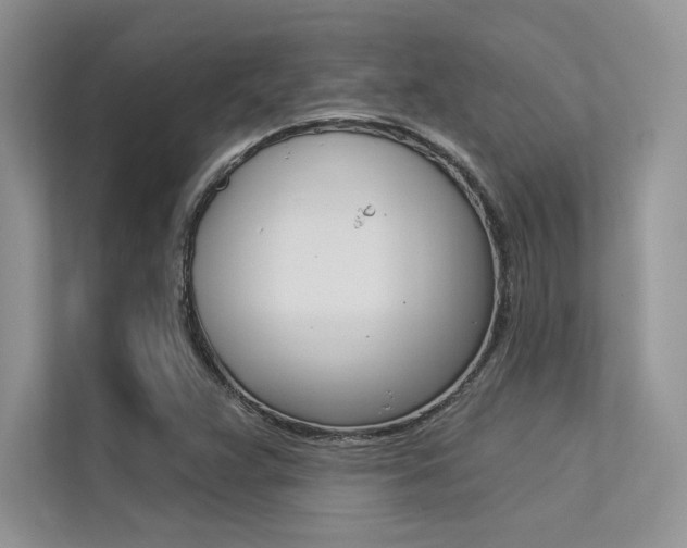 X0000113321359200909140938