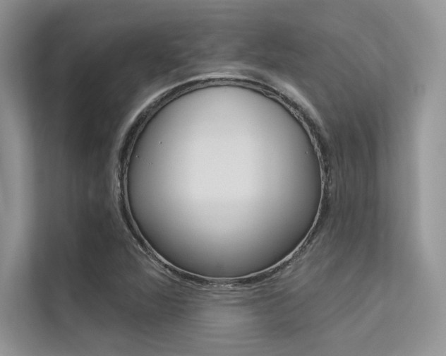 X0000113321360200909140938