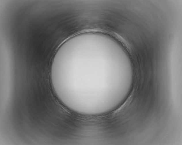 X0000113321361200909140938