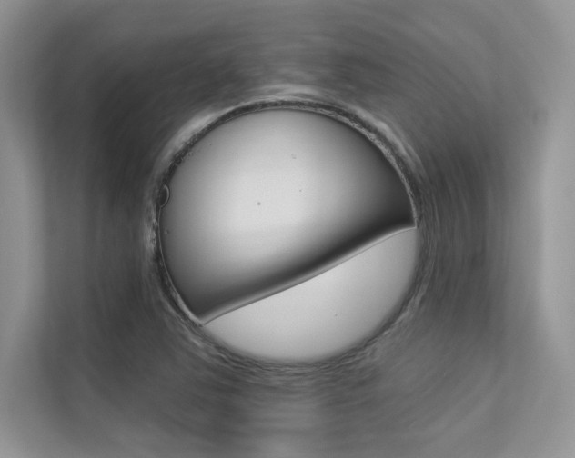 X0000113321363200909140938