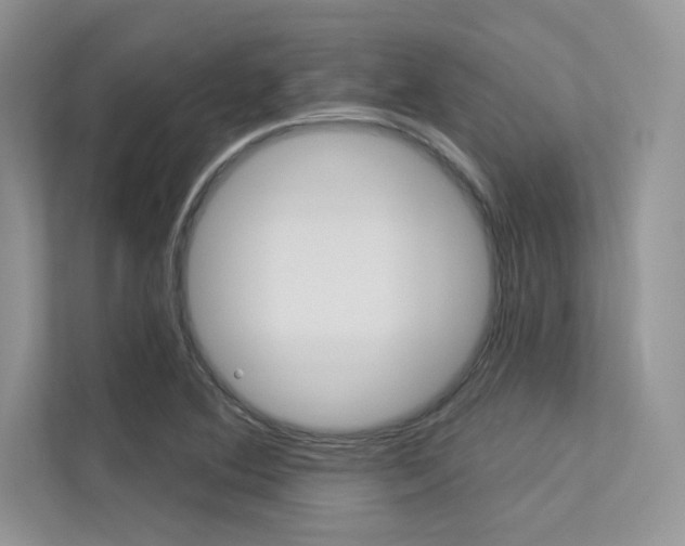 X0000113321364200909140938