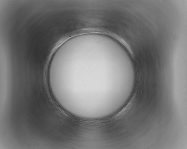 X0000113321365200909140938