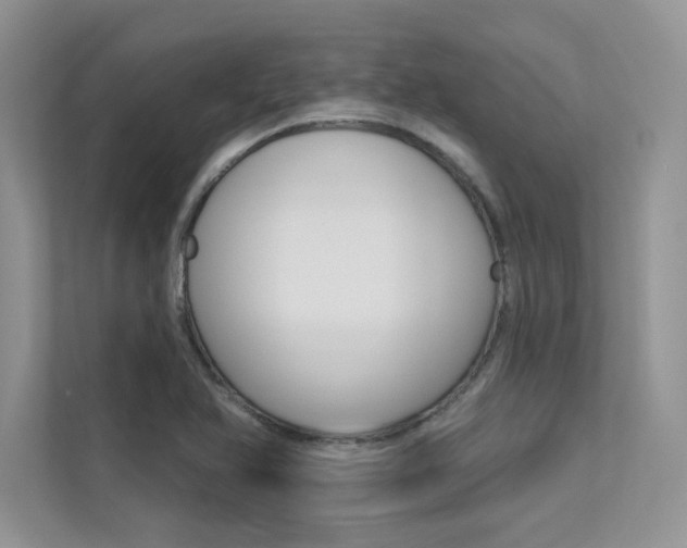 X0000113321366200909140938