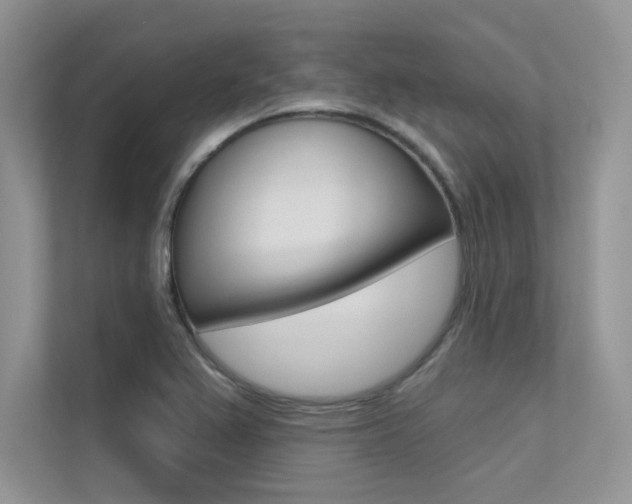 X0000113321367200909140938