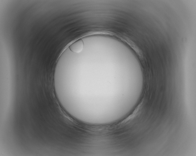 X0000113321369200909140938