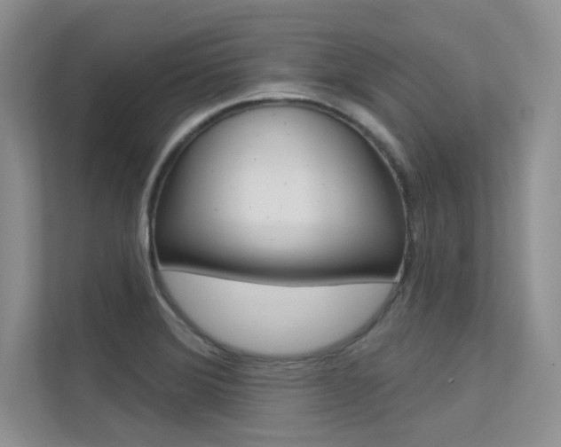 X0000113321372200909140938