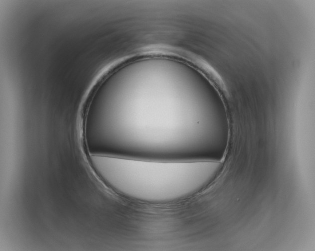 X0000113321376200909140938