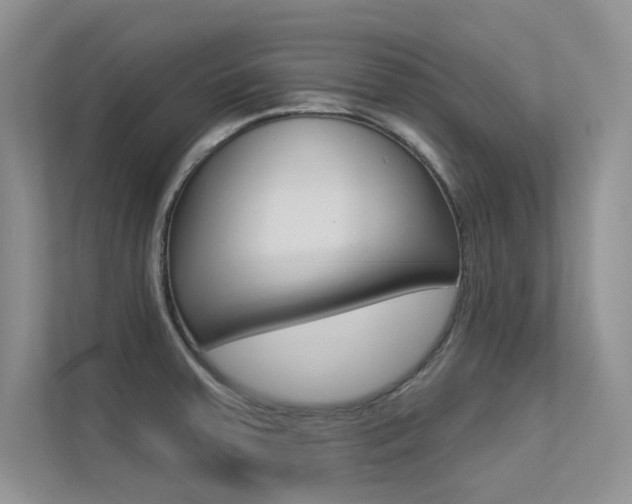 X0000113321379200909140938