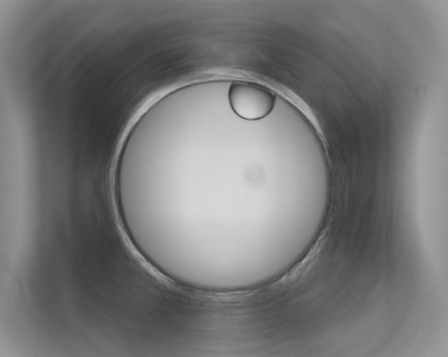 X0000113321381200909140938