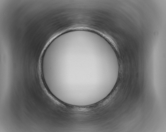 X0000113321382200909140938