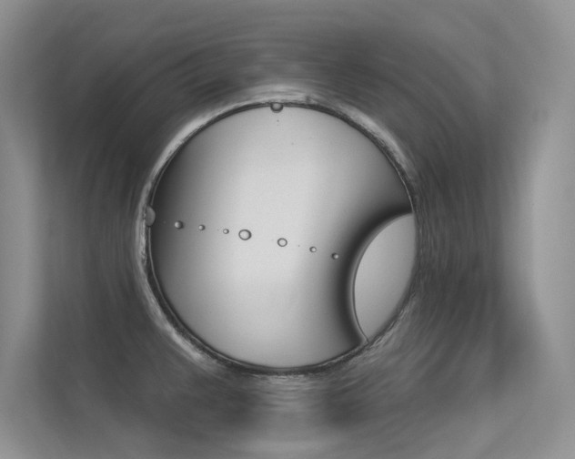 X0000113321383200909140938